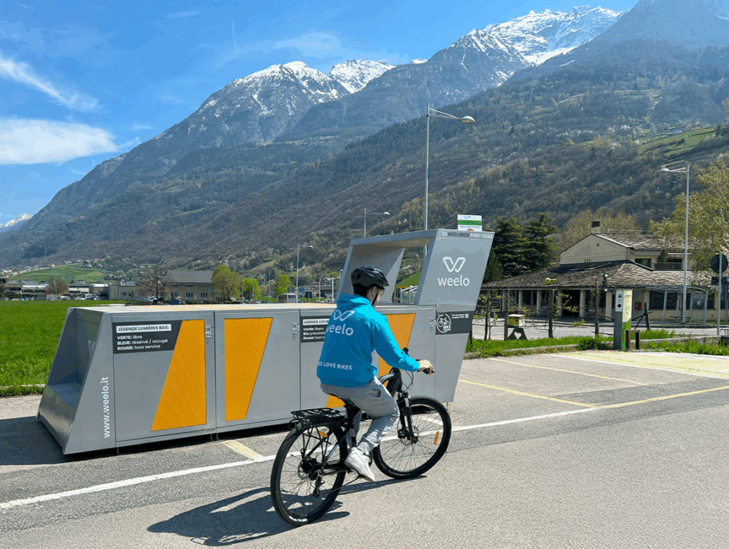BIKE RENTAL